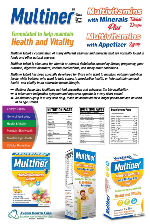 MULTINER SYP - Image 3