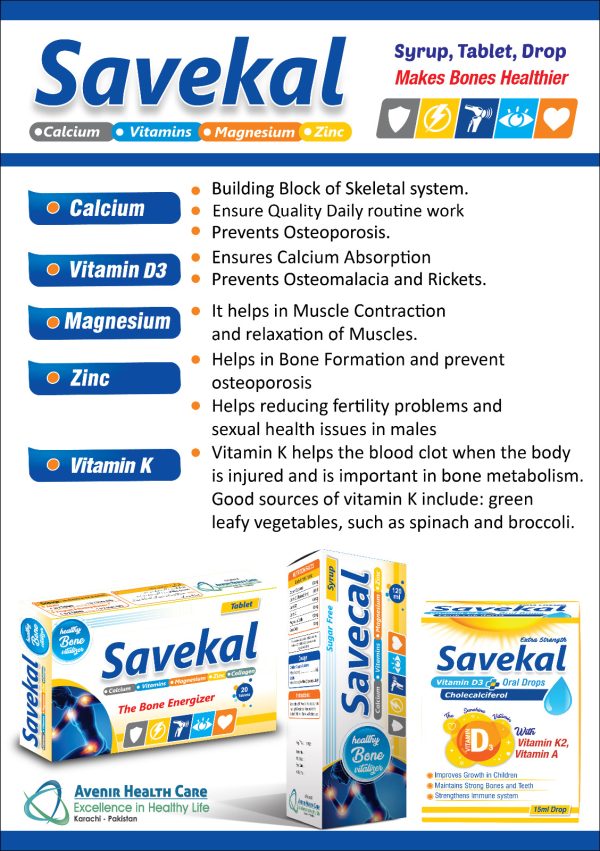 SAVECAL SYP - Image 3